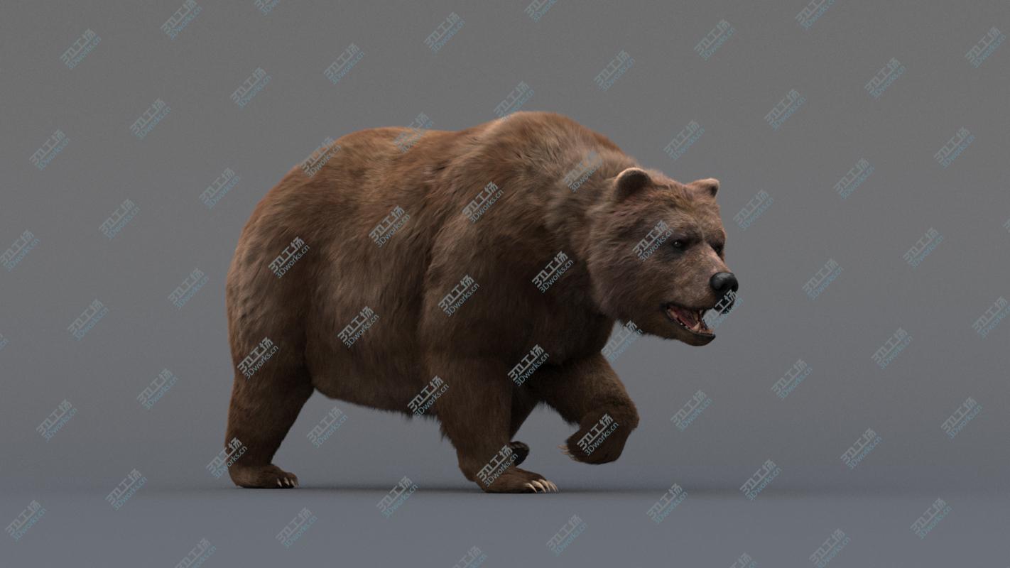 images/goods_img/202104091/3D model Bear Animated/3.jpg